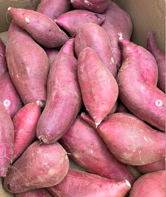 スクリーンショット 2025-09-25 11.11.57